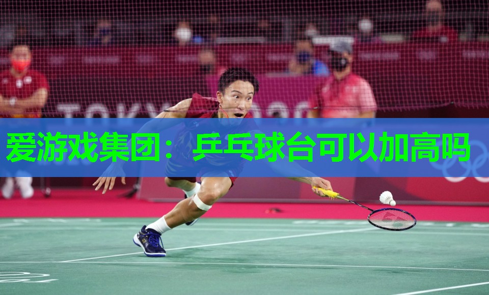 爱游戏集团：乒乓球台可以加高吗