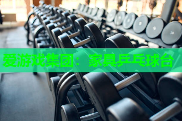 爱游戏集团：家具乒乓球台