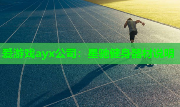 爱游戏ayx公司：星驰健身器材说明