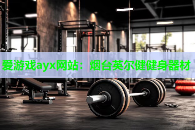 爱游戏ayx网站：烟台英尔健健身器材