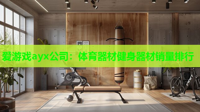 爱游戏ayx公司：体育器材健身器材销量排行