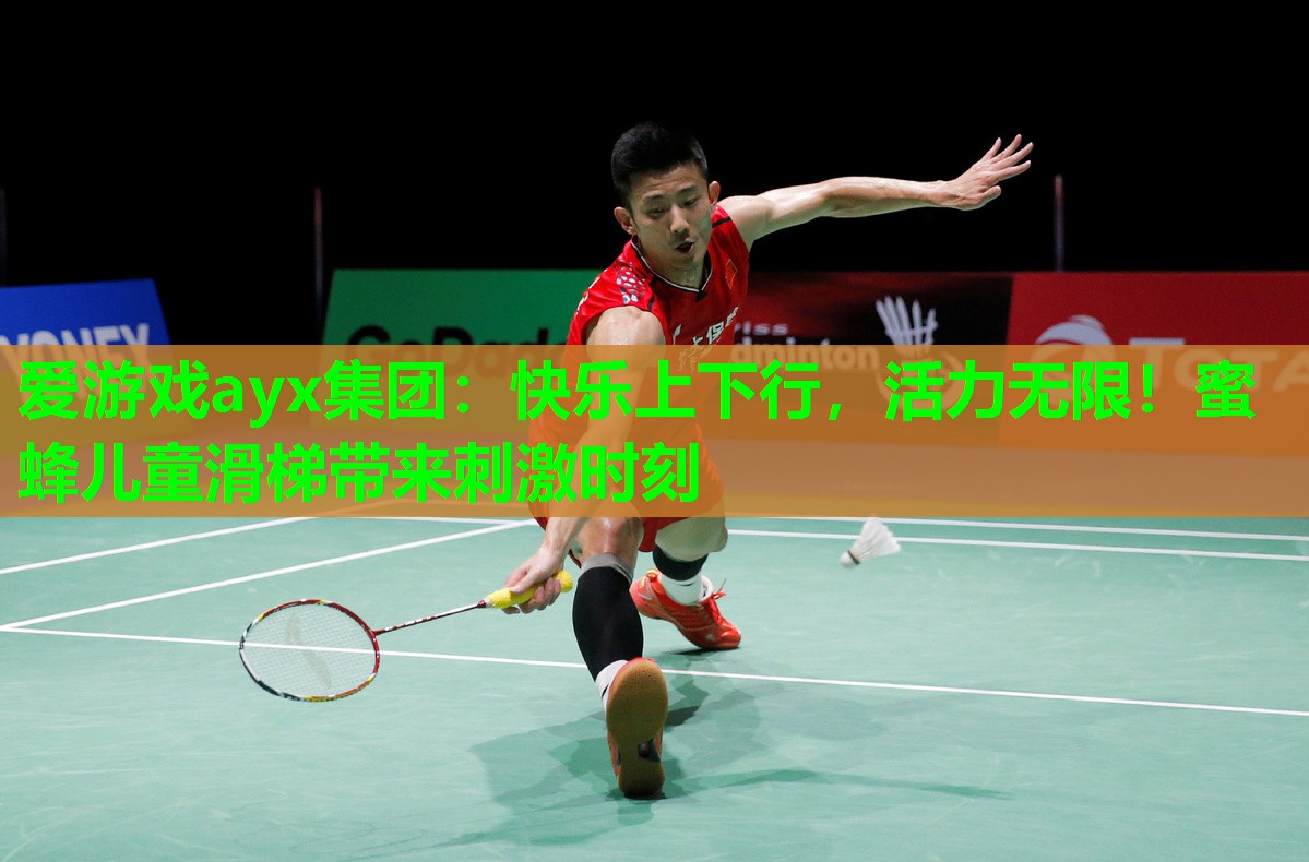 爱游戏ayx集团：快乐上下行，活力无限！蜜蜂儿童滑梯带来刺激时刻