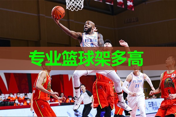 专业篮球架多高