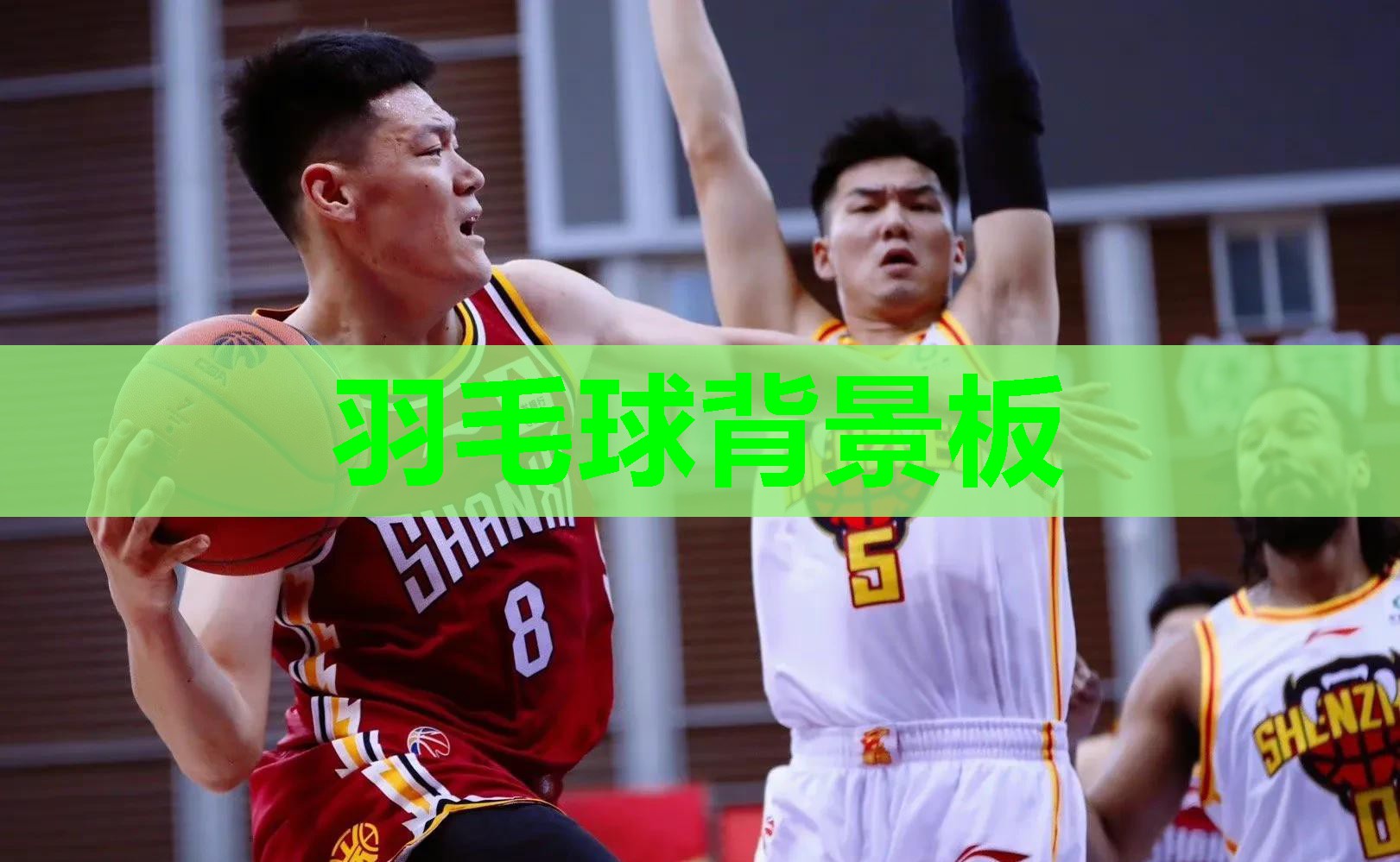 羽毛球背景板