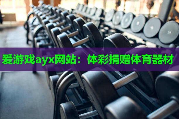 爱游戏ayx网站：体彩捐赠体育器材