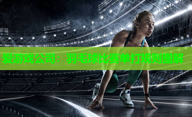 爱游戏公司：羽毛球比赛单打规则图解