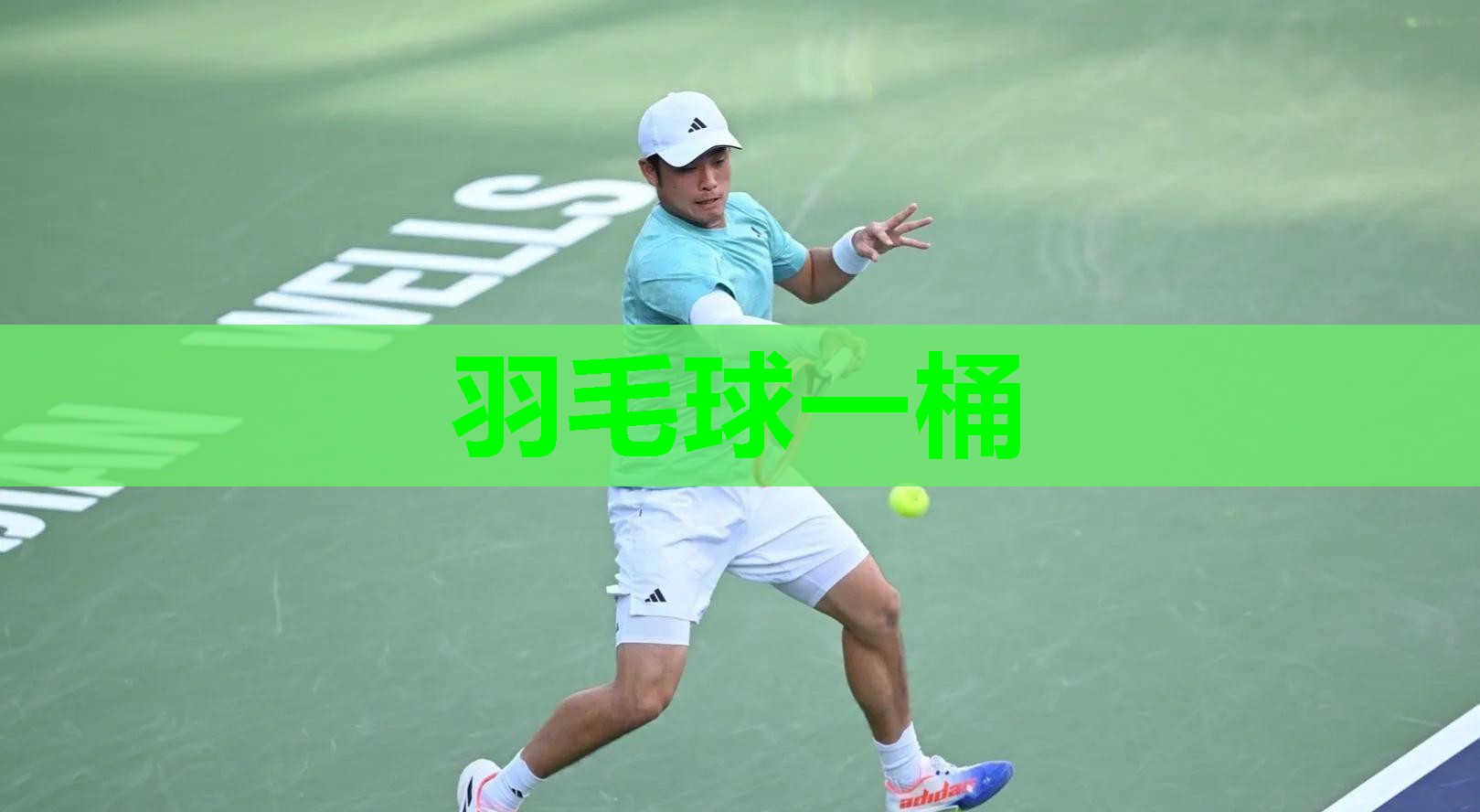 羽毛球一桶