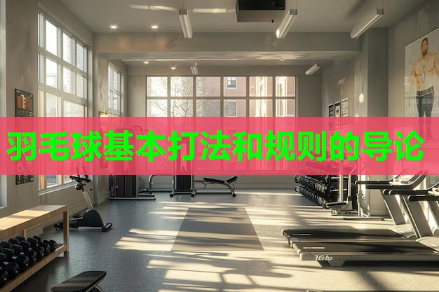 羽毛球基本打法和规则的导论