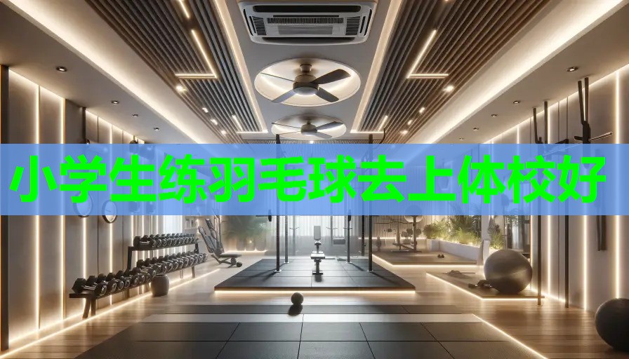 小学生练羽毛球去上体校好