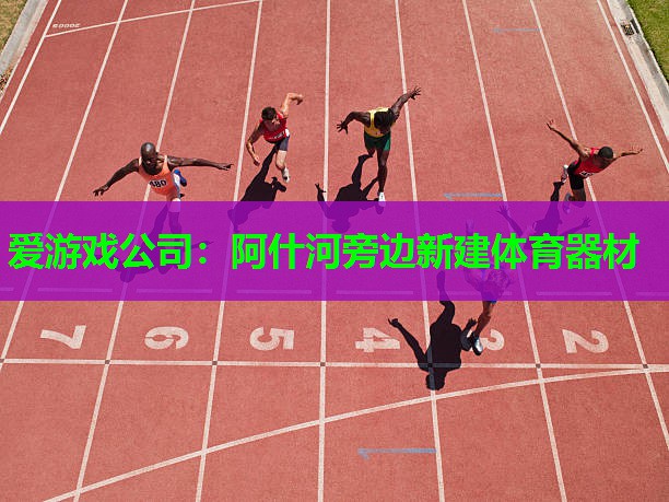 爱游戏公司：阿什河旁边新建体育器材