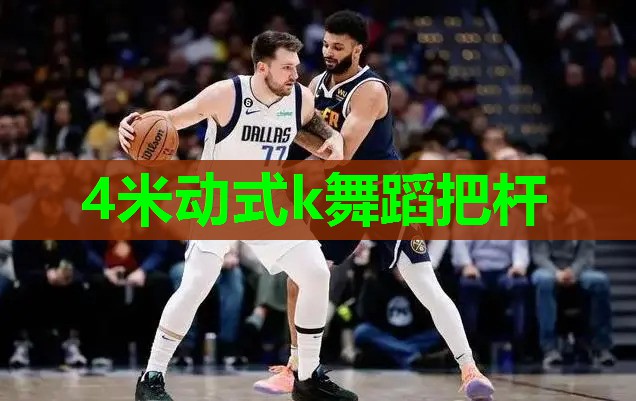 4米动式k舞蹈把杆
