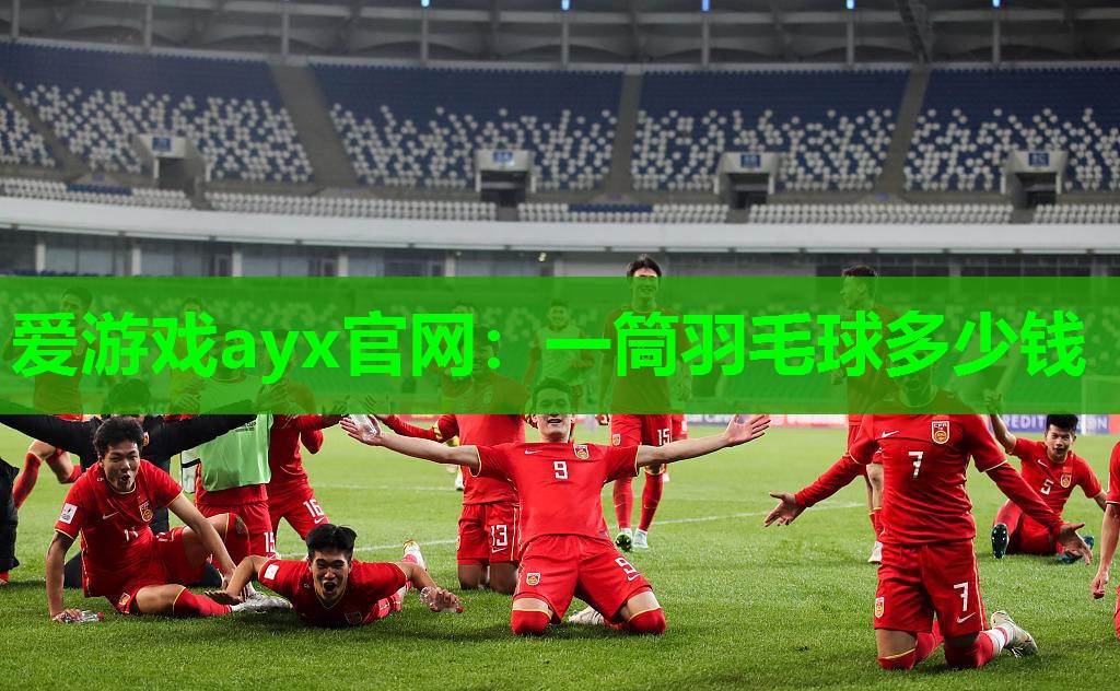 爱游戏ayx官网：一筒羽毛球多少钱