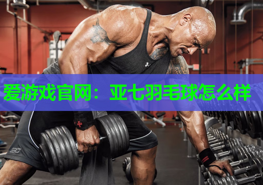 爱游戏官网：亚七羽毛球怎么样