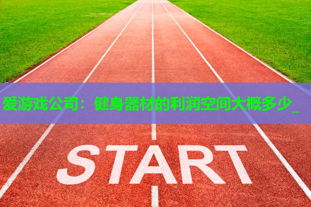 爱游戏公司：健身器材的利润空间大概多少_
