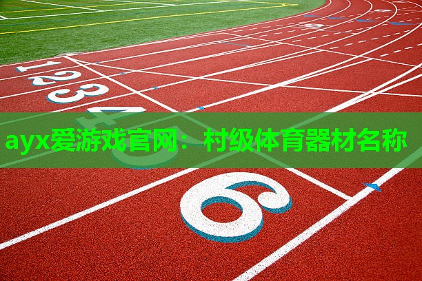 ayx爱游戏官网：村级体育器材名称