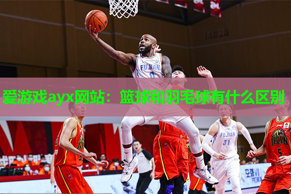 爱游戏ayx网站：篮球和羽毛球有什么区别