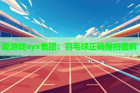 爱游戏ayx集团：羽毛球正确握拍图解