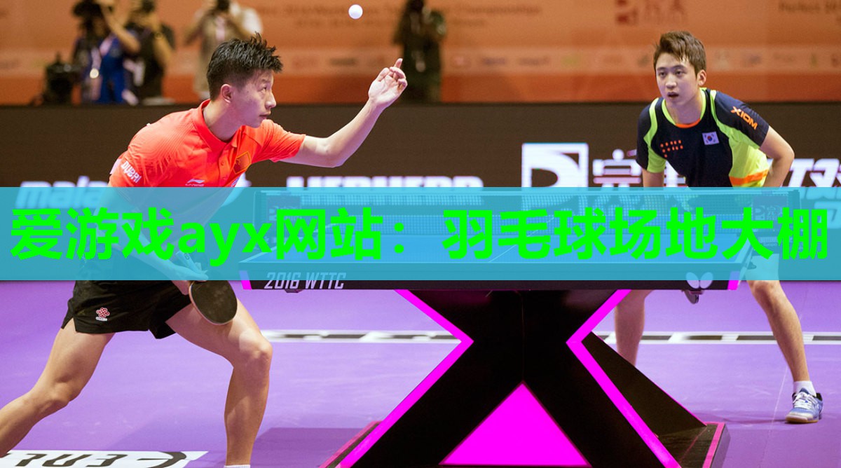 爱游戏ayx网站：羽毛球场地大棚