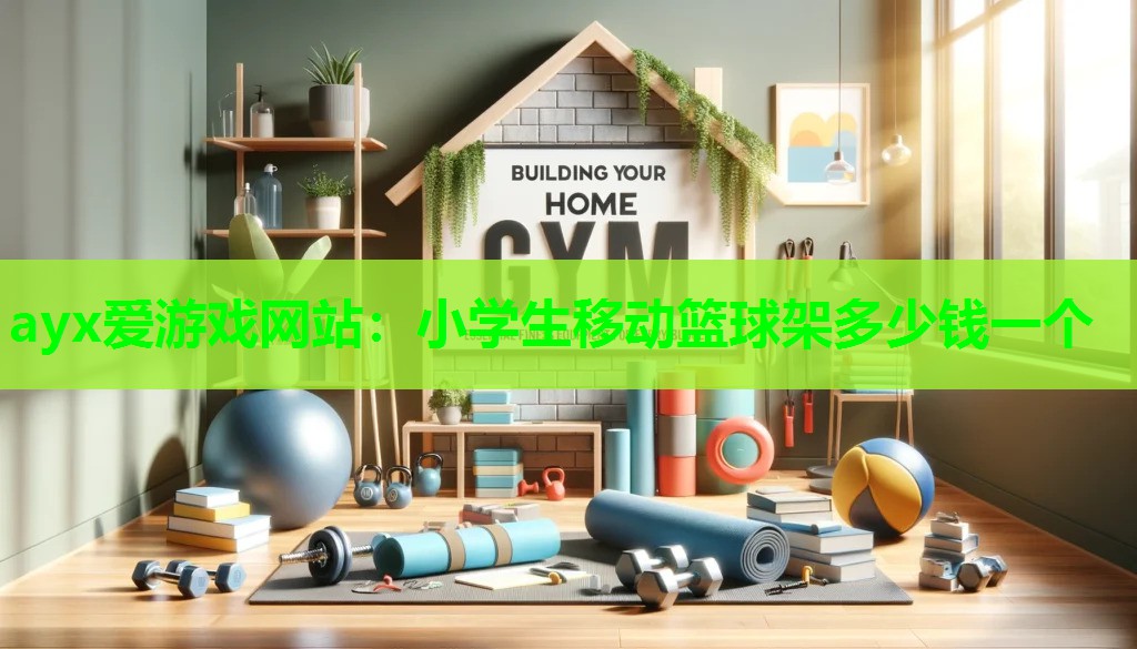 ayx爱游戏网站：小学生移动篮球架多少钱一个