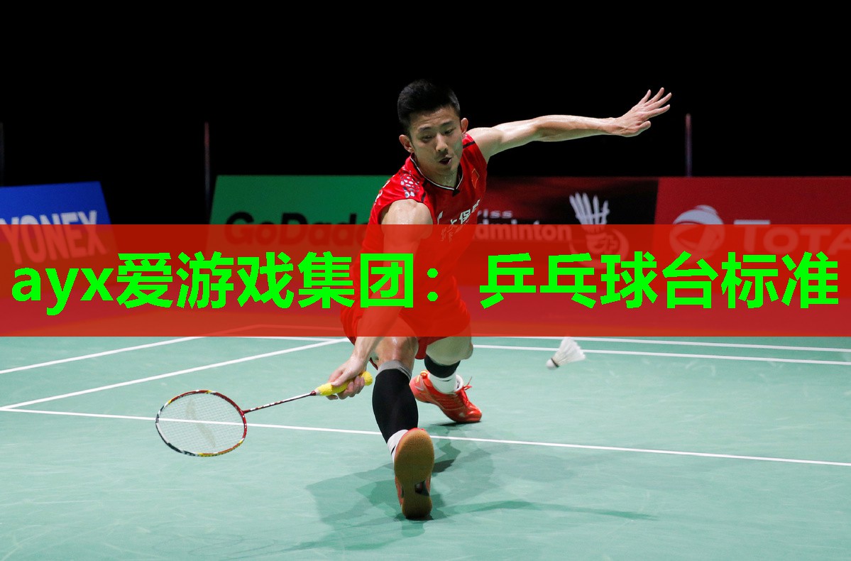 ayx爱游戏集团：乒乓球台标准