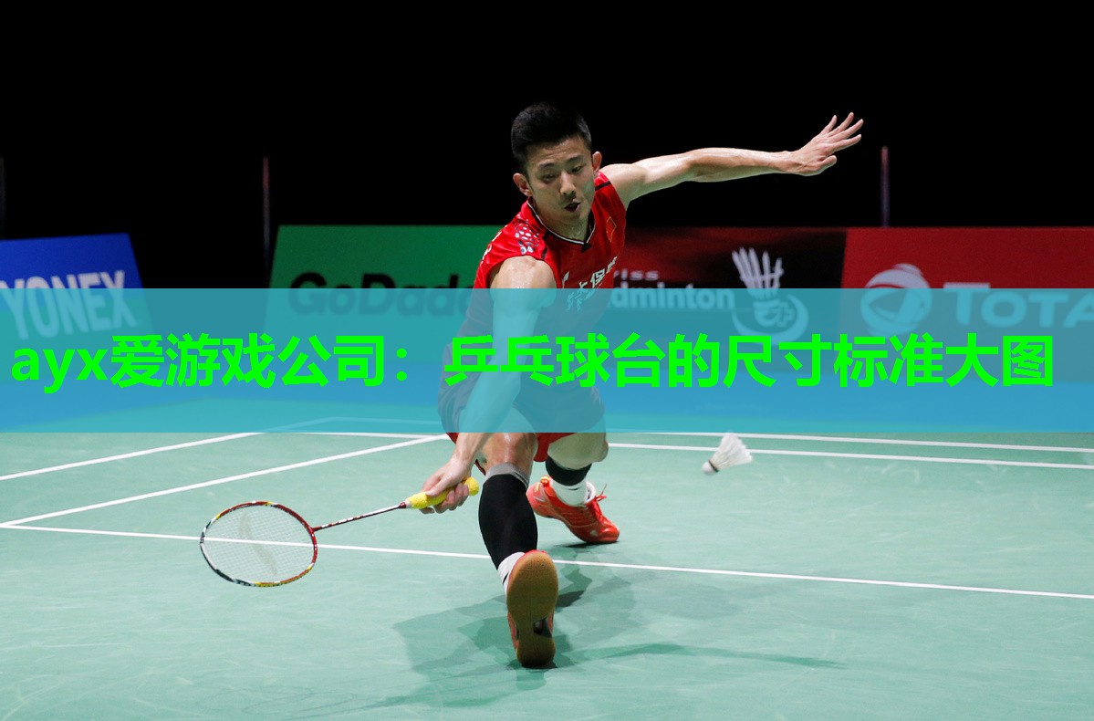ayx爱游戏公司：乒乓球台的尺寸标准大图