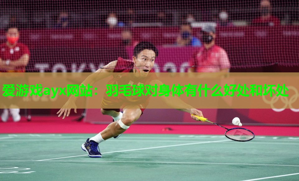 爱游戏ayx网站：羽毛球对身体有什么好处和坏处