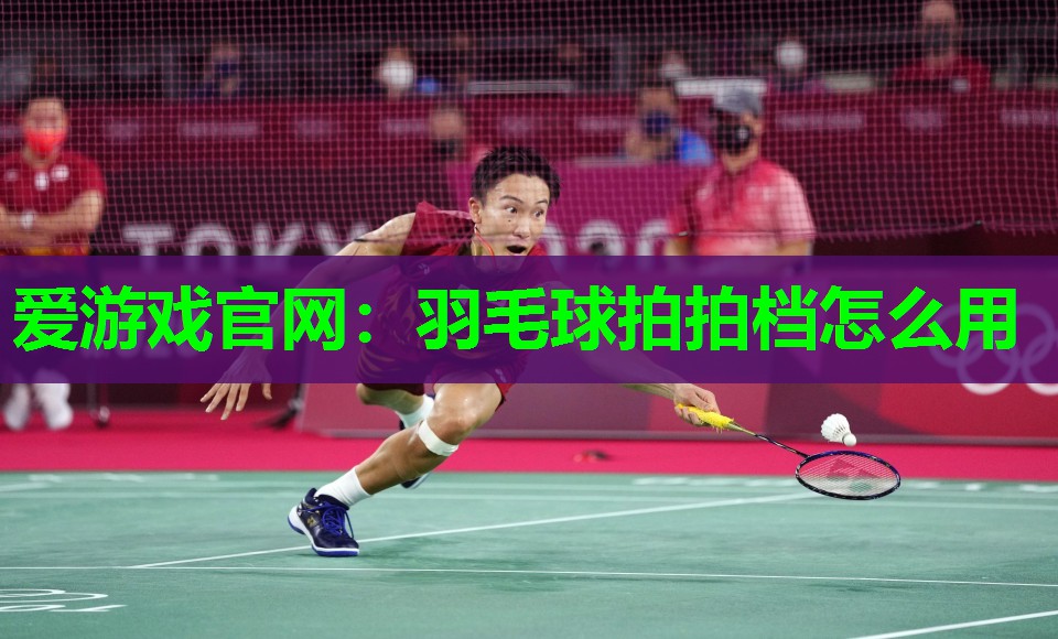 爱游戏官网：羽毛球拍拍档怎么用