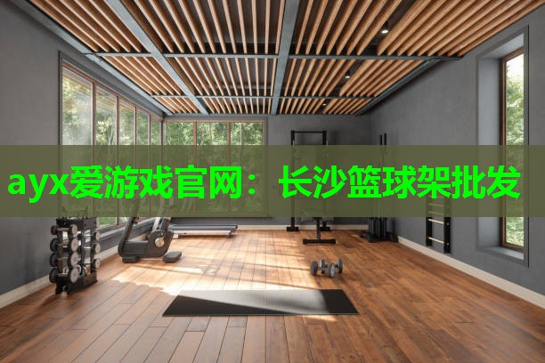 ayx爱游戏官网：长沙篮球架批发