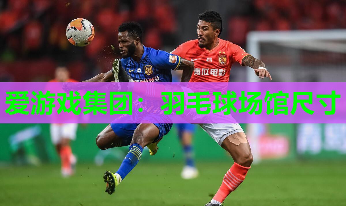 爱游戏集团：羽毛球场馆尺寸