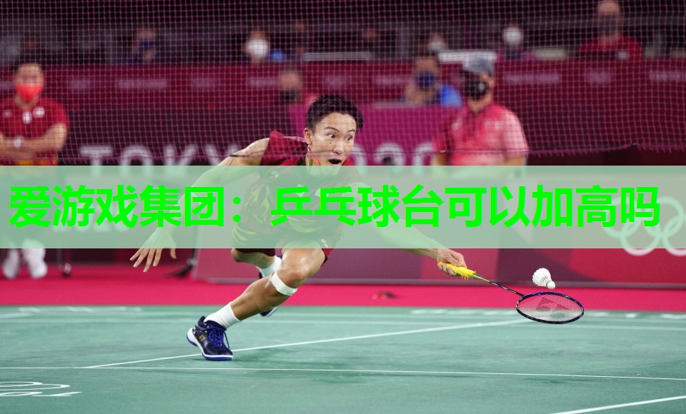 乒乓球台可以加高吗