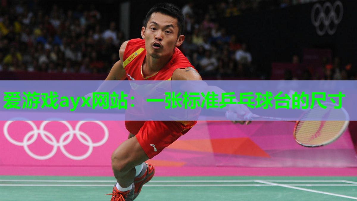 一张标准乒乓球台的尺寸