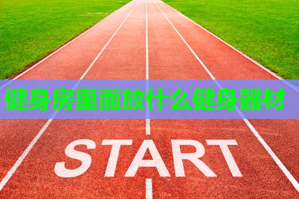 健身房里面放什么健身器材