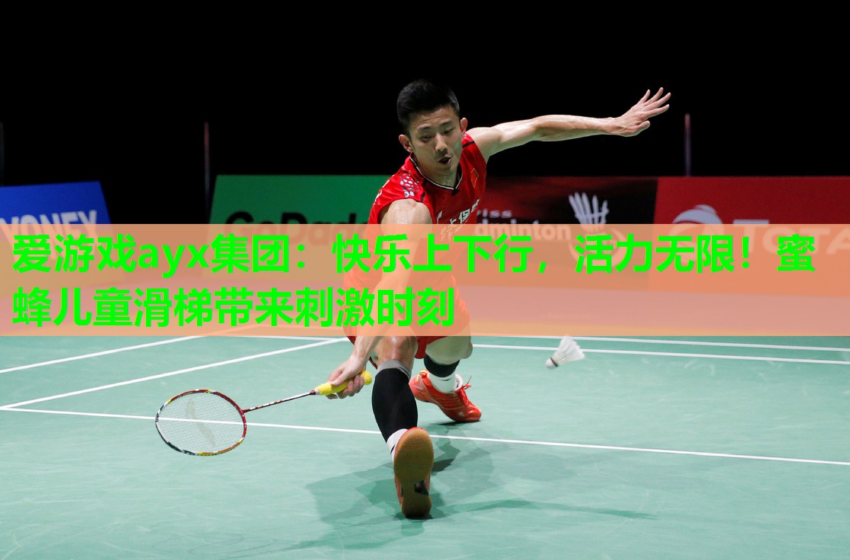 快乐上下行，活力无限！蜜蜂儿童滑梯带来刺激时刻