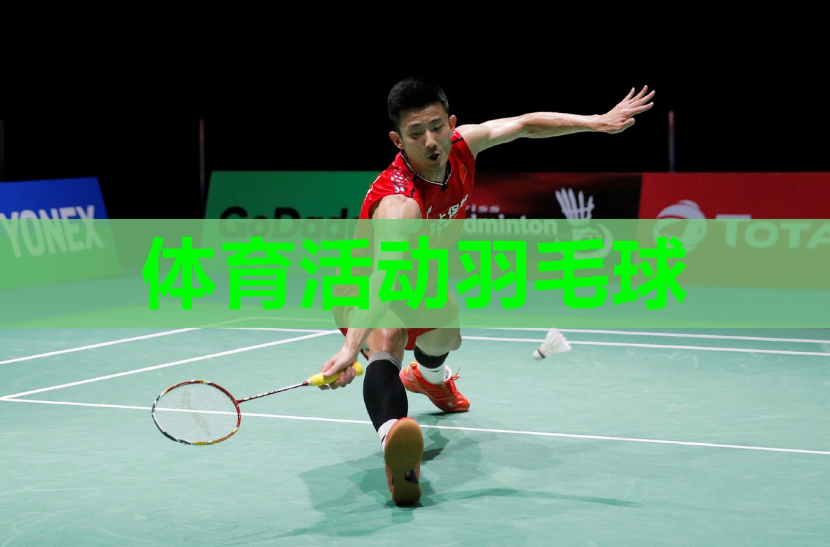 体育活动羽毛球