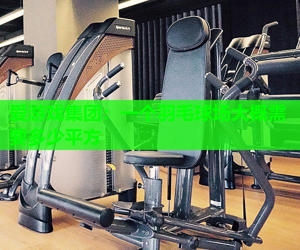 一个羽毛球场大概需要多少平方