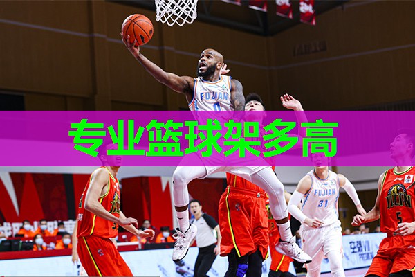 专业篮球架多高