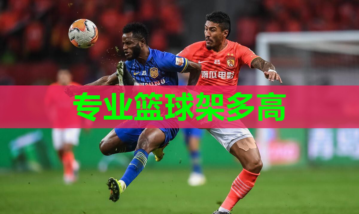 专业篮球架多高