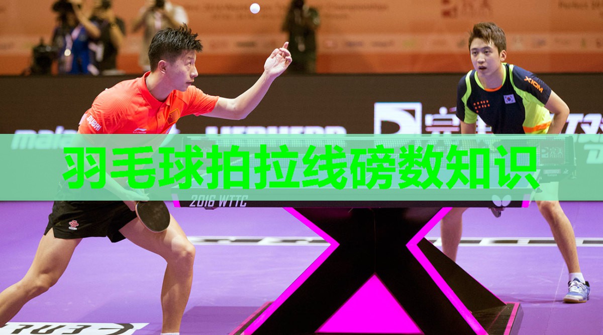 羽毛球拍拉线磅数知识