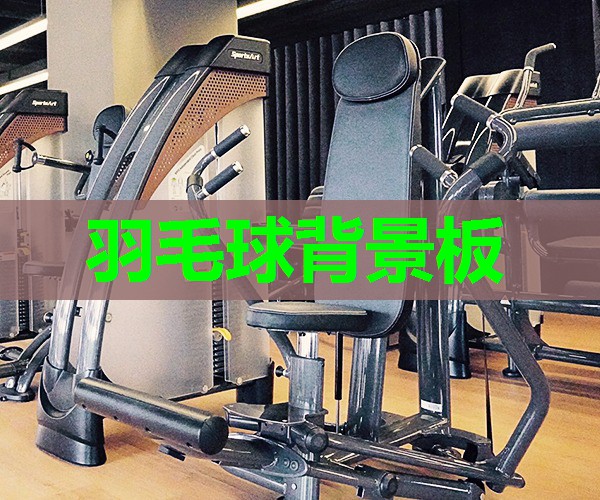 羽毛球背景板