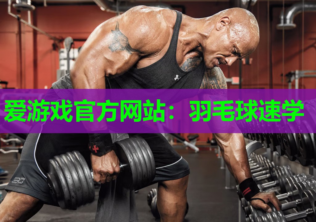 羽毛球速学