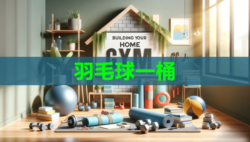 羽毛球一桶