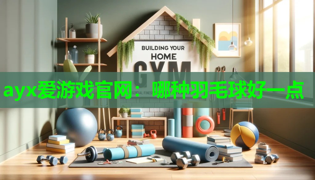哪种羽毛球好一点