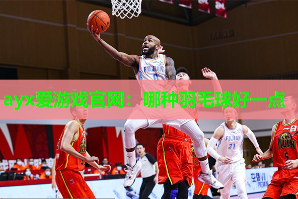 哪种羽毛球好一点