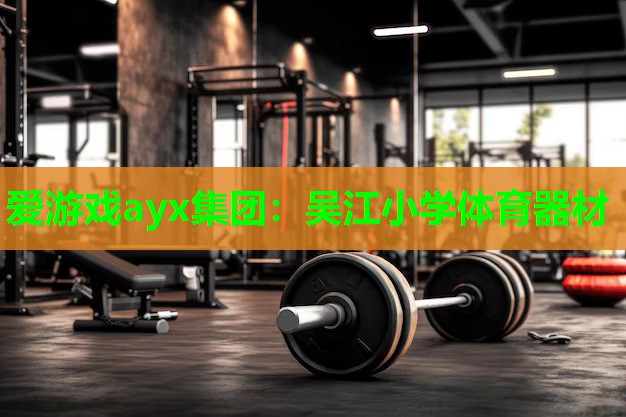 吴江小学体育器材