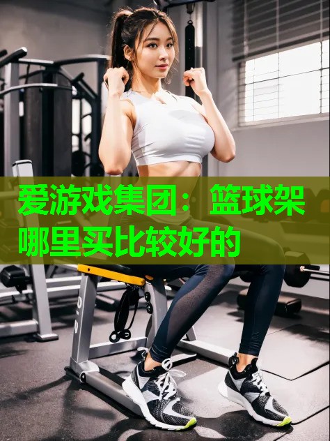 篮球架哪里买比较好的
