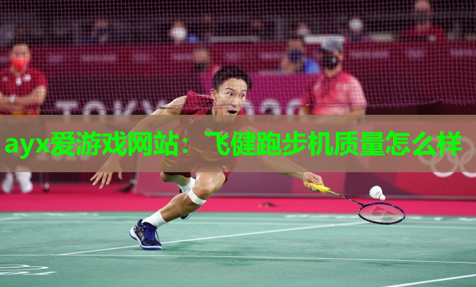 飞健跑步机质量怎么样