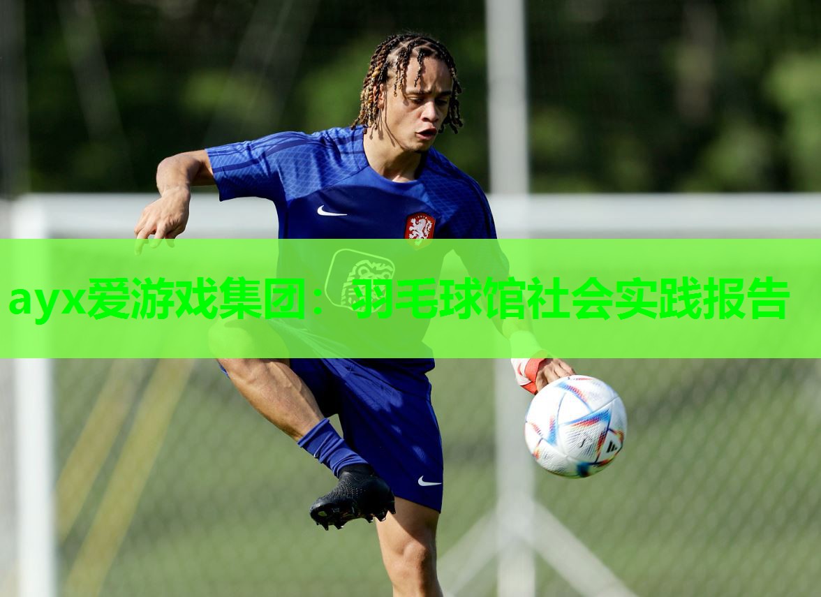 羽毛球馆社会实践报告