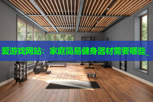 家庭简易健身器材需要哪些_