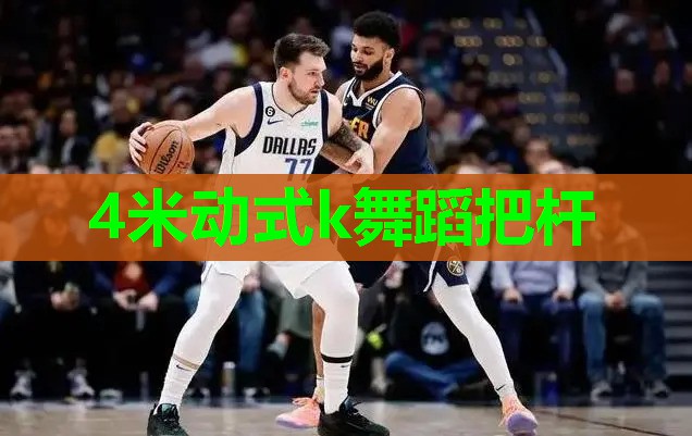 4米动式k舞蹈把杆