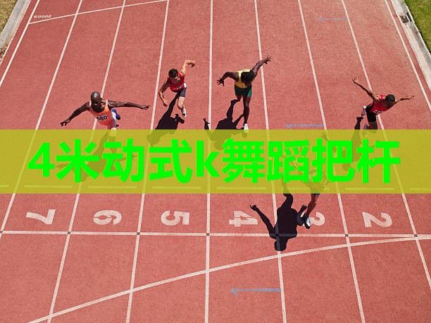 4米动式k舞蹈把杆